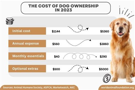 雪達犬多少錢一隻？探討宠物犬價格背後的多重因素